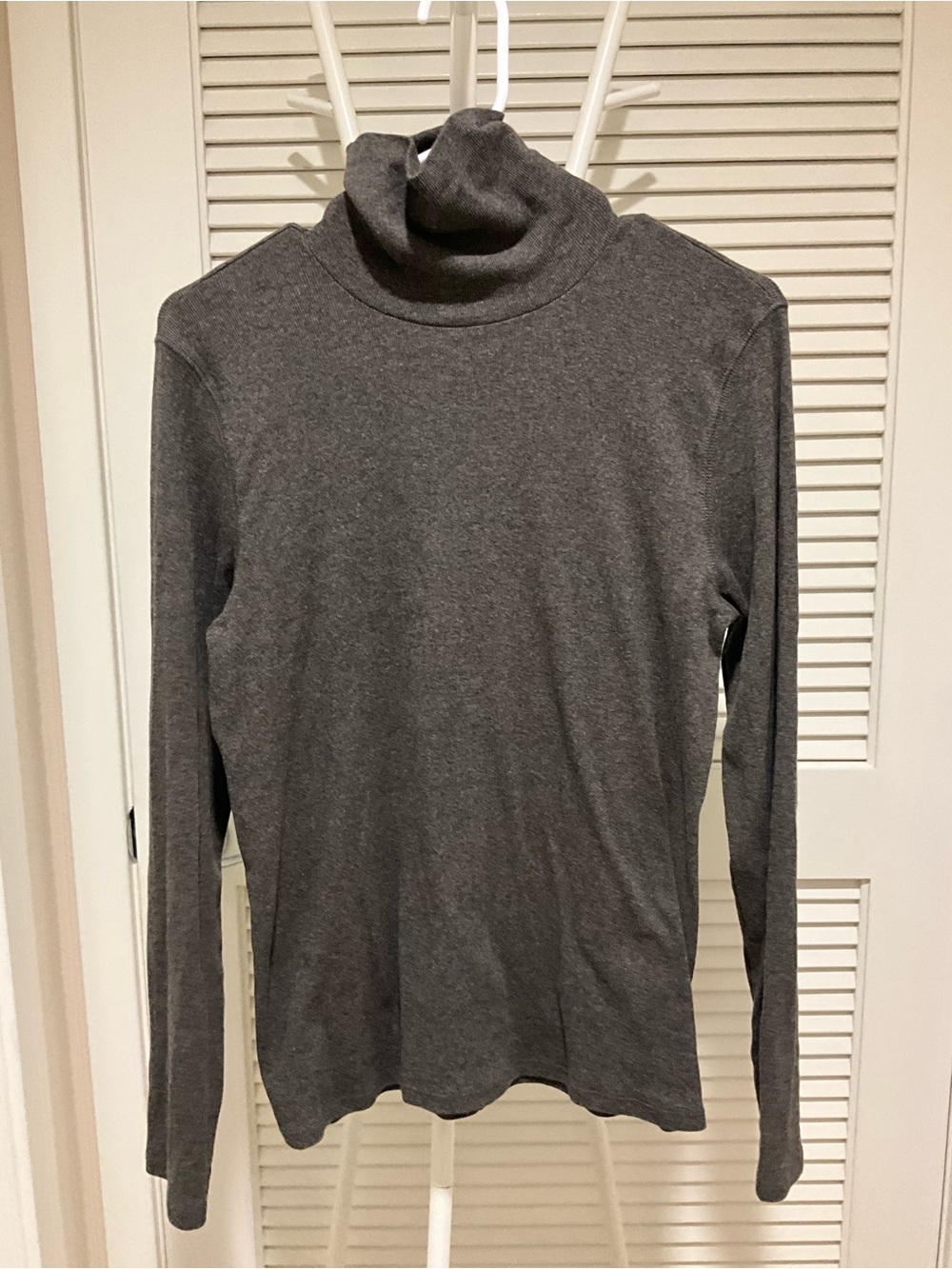 Everlane Brown Turtleneck Pima cotton long sleeve tee